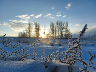 冬日雪野日出美景