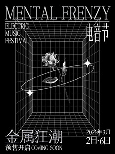 电音节