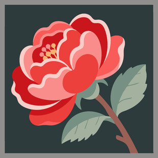 手绘红色娇艳牡丹花