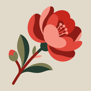 红色花卉插画