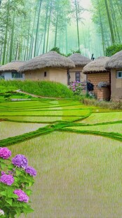 竹林旁的田园小屋美景