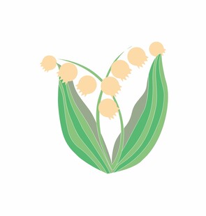 铃兰花插画