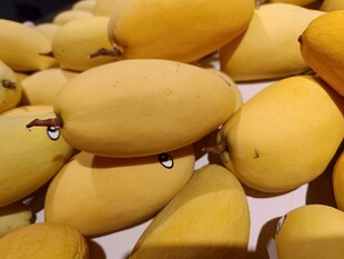 金黄饱满芒果堆