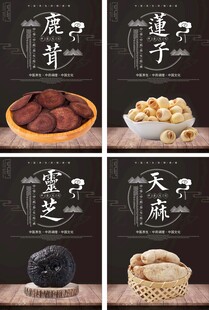 中国风中草药医疗展板