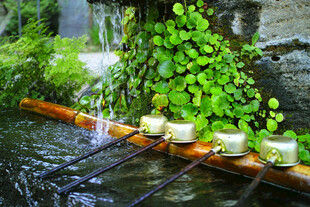 溪边绿植旁的烛光水景