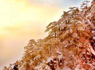 雪覆山林的绚烂黄昏