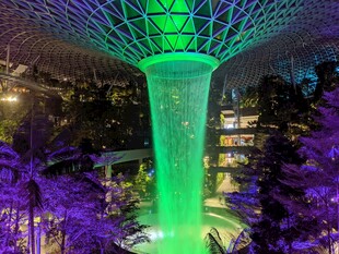 新加坡滨海湾花园擎天树夜景