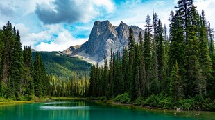 山间翠湖旁的葱郁森林