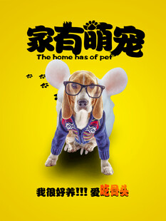 可爱仓鼠扮装萌趣瞬间
