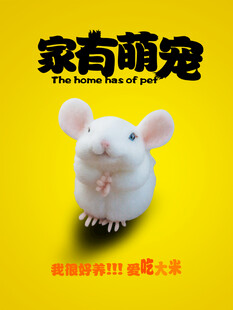 可爱家鼠萌宠来袭
