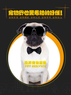 戴墨镜穿礼服的可爱巴哥犬