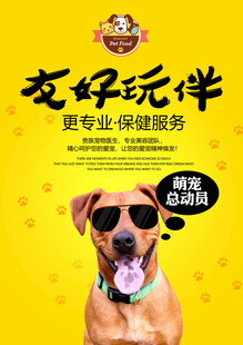 萌宠玩伴 专业保健服务