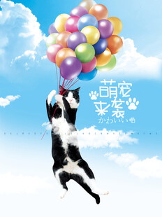 猫咪抓气球欢乐瞬间