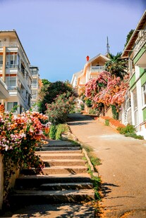 鲜花装点的宁静街道