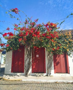 红门繁花装点的美丽建筑