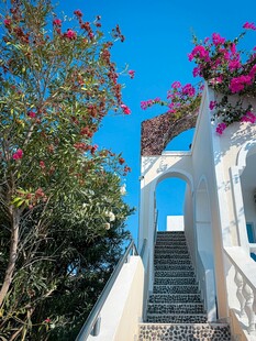 白色阶梯旁的烂漫花卉