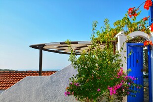 蓝门白墙的浪漫地中海景致