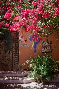 繁花装点的古朴庭院一角