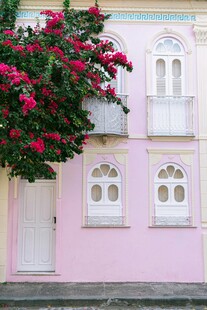 粉色小屋与艳丽三角梅