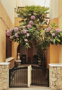 庭院繁花盛开的温馨角落