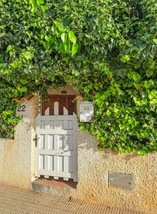 绿植环绕的白色庭院小门