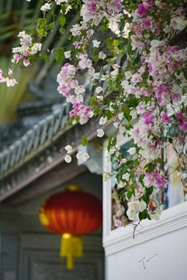 繁花下的中式灯笼景致