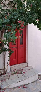 红门绿植装点的温馨角落