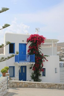 蓝白小屋旁的艳丽繁花