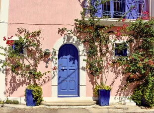 粉色墙前的蓝色门与绿植