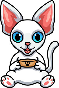 可爱白猫捧碗开心模样