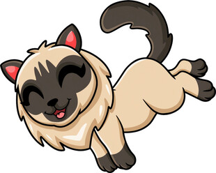 跳跃的可爱暹罗猫