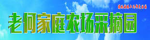老挝国家旅游招贴画面