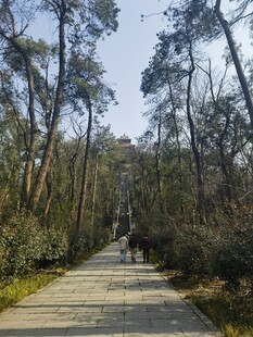 东湖磨山