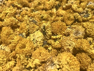 菊花干