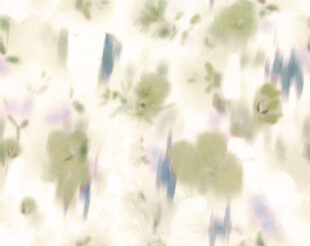 淡彩花卉抽象图案背景