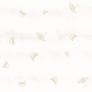 简约飞鸟图案背景纹理