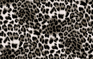 豹纹图案纹理背景