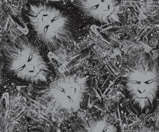 黑白蒲公英特写 悟空 黑白