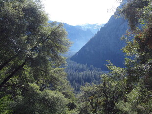 山林间的秀丽山谷景色