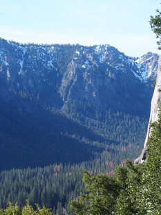 壮丽山景与葱郁森林