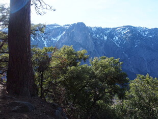 山林间的巍峨雪山景色