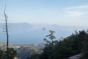 山巅远眺海景风光