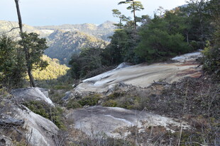 山间岩石与植被景观