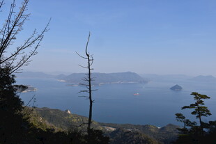山间远眺湖景风光