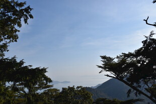 山林间的蓝天景致