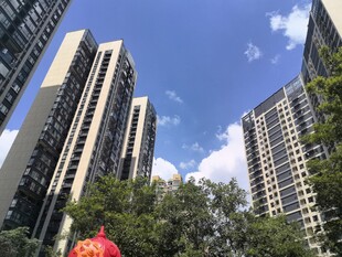 城市高楼与绿树景观