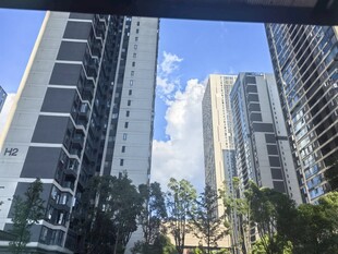 城市高楼与绿树景观