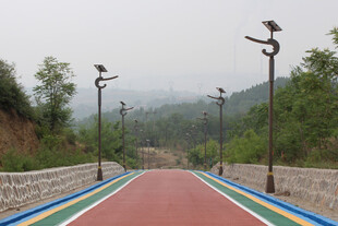 彩色步道旁的特色路灯景观