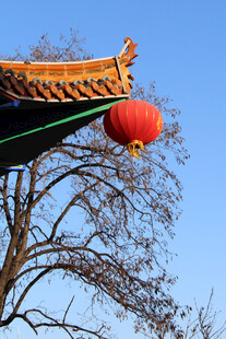 屋檐红灯笼与枯树