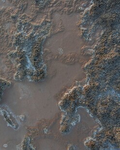 泥泞地面纹理特写